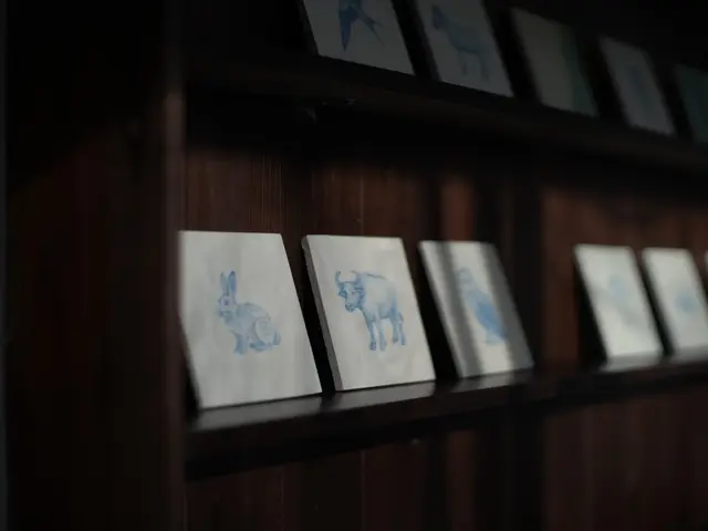 「その場の空気を感じる写真」をテーマに時間の表情までうつしとります。