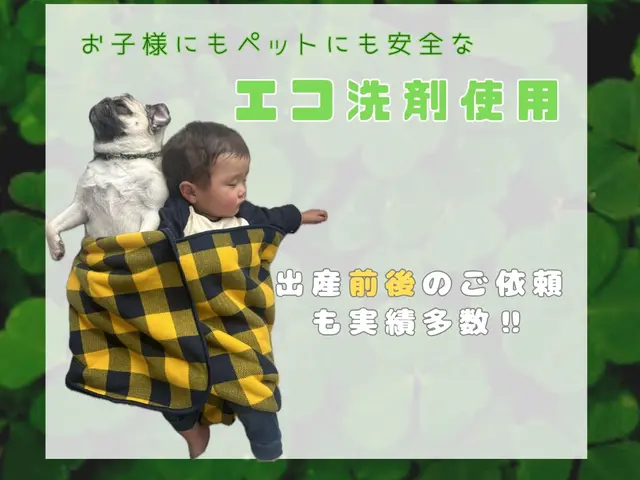 【12月まで限定複数台割引1台5000円】 赤ちゃん・ペットにも安心な洗剤。サービスの画像