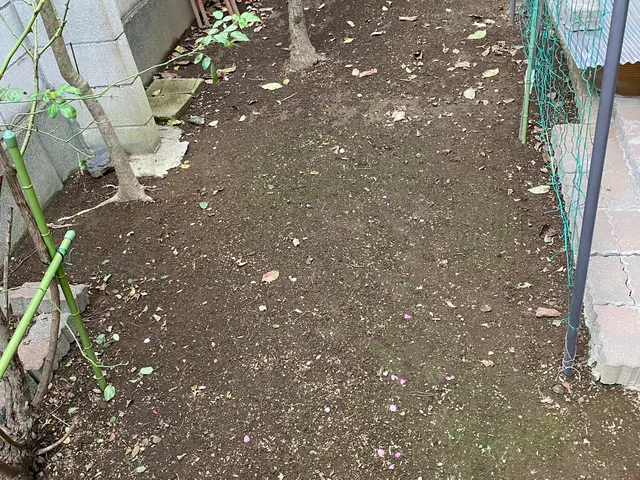 落ち葉清掃/回収処分サービスの画像