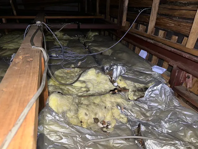 関西、名古屋、関東エリア対応。安心安全薬剤。お見積もり無料です。時間外も対応可能サービスの画像