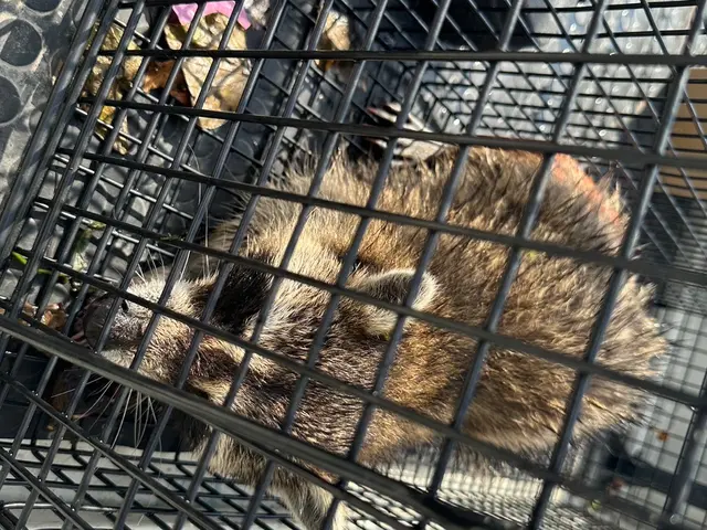 関西、名古屋、関東エリア対応。安心安全薬剤。お見積もり無料です。時間外も対応可能サービスの画像