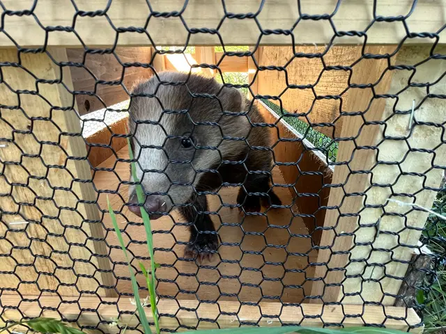 関西、名古屋、関東エリア対応。安心安全薬剤。お見積もり無料です。時間外も対応可能サービスの画像