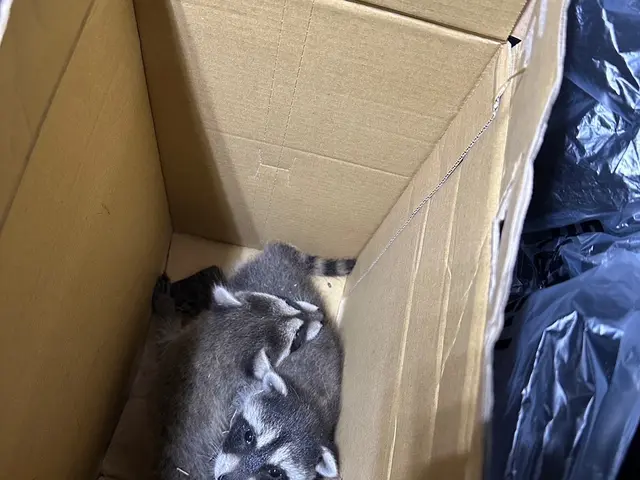 関西、名古屋、関東エリア対応。安心安全薬剤。お見積もり無料です。時間外も対応可能サービスの画像