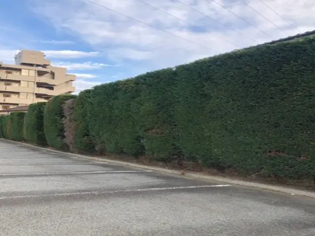 ◆女性スタッフ必ず同行◆生垣や植え込みをスッキリさせませんか？サービスの画像