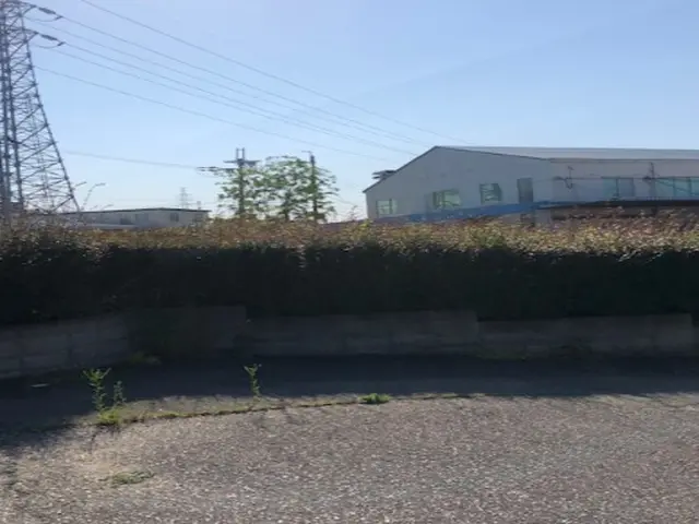 ◆女性スタッフ必ず同行◆生垣や植え込みをスッキリさせませんか？サービスの画像