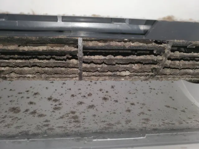 ◆ 複数台割引実施中◆ 今なら予約が取り易いので お安い内に是非 ご予約を！！サービスの画像