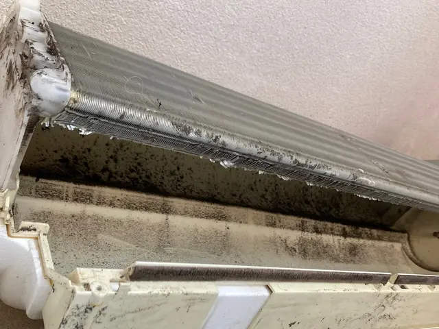 ◆ 複数台割引実施中◆ 今なら予約が取り易いので お安い内に是非 ご予約を！！サービスの画像