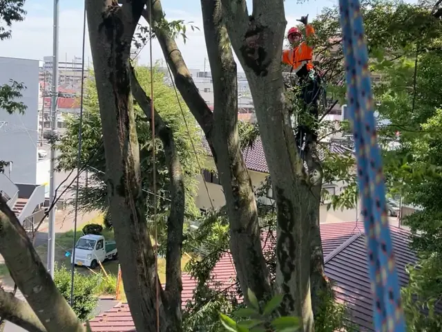 ★日本庭園や神社.お寺でホテル等で管理経験あり◎長年の技術を活かしますサービスの画像