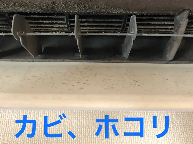 【地域密着・迅速対応◎】損害保険加入済みですのでご安心ください♪サービスの画像