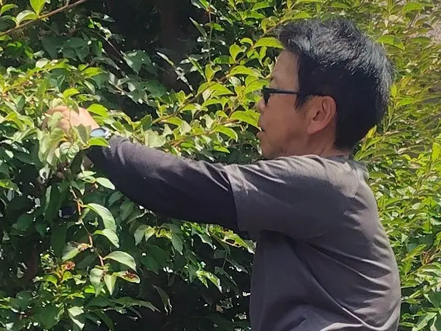 【8月出店】実績1000件突破！植物愛好家店長が叶えるお客様理想の仕上がりサービスの画像