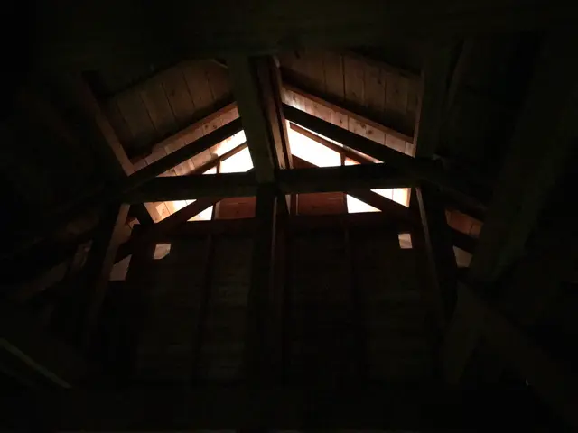 ●コウモリの侵入被害、糞害でお困りの方プロに任せて快適な暮らしをお届けします。サービスの画像