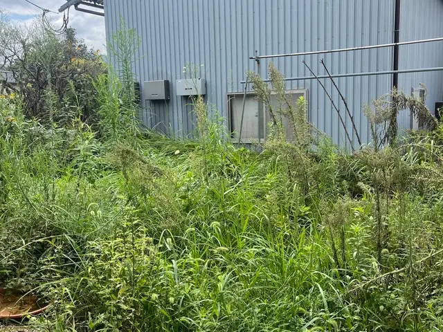 プロの技術でご満足いただけるように心を込めて作業いたしますサービスの画像