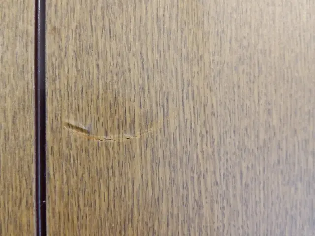 「あ！わからなくなった！」とお客様が驚く技術力◎paypay対応してますよサービスの画像