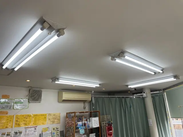 シーリングライト、ペンダントライト、デザイン照明まで！照明器具何でも取り付けますサービスの画像