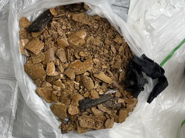 【弊社の洗浄ホースは配管を痛めません！】排水管清掃と詰まり抜きのプロ！サービスの画像