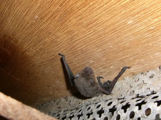 ☆猪名川町商工会所属☆  ◆業界実績15年◆   ※カードOK※サービスの画像