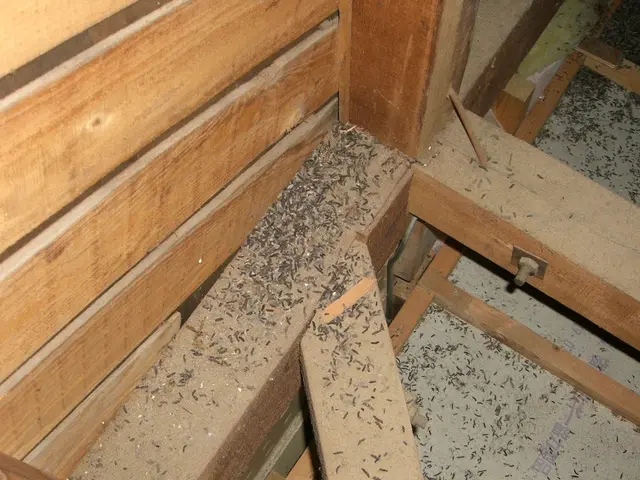 ☆猪名川町商工会所属☆  ◆業界実績15年◆   ※カードOK※サービスの画像