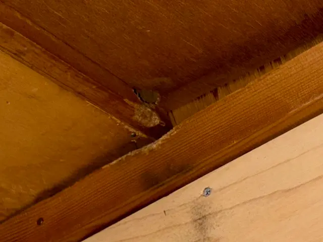 作業時間30分～1時間お客様のニーズに合わせた対処をします 回数制限ありませんサービスの画像