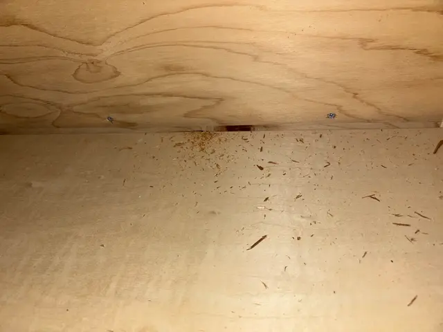 作業時間30分～1時間お客様のニーズに合わせた対処をします 回数制限ありませんサービスの画像