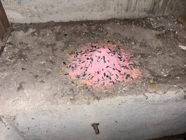 作業時間30分～1時間お客様のニーズに合わせた対処をします 回数制限ありませんサービスの画像