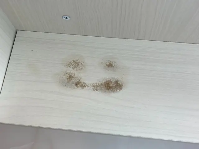 100%自社施工！安心と信頼の匠の技で、あなたの床を蘇らせますサービスの画像