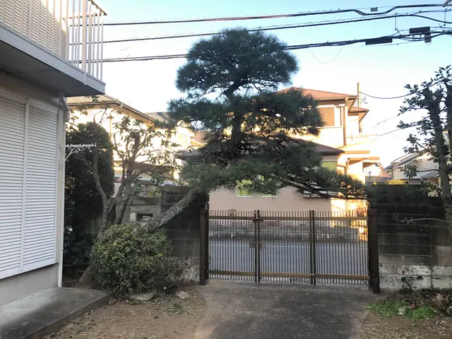 【お客様のご要望にお応えします！】庭木1本からご予約承ります！サービスの画像