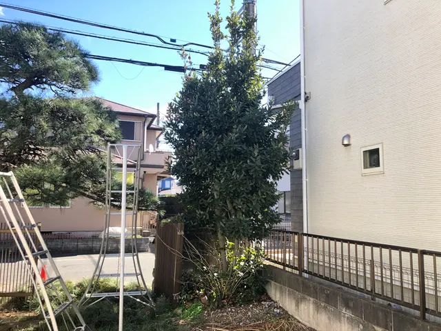 【お客様のご要望にお応えします！】庭木1本からご予約承ります！サービスの画像