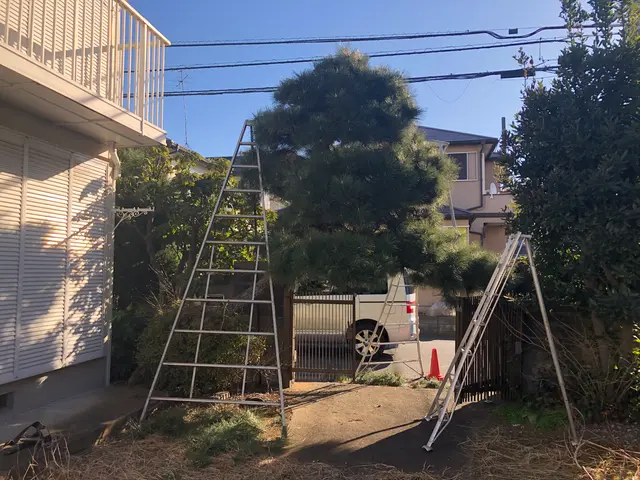 【お客様のご要望にお応えします！】庭木1本からご予約承ります！サービスの画像