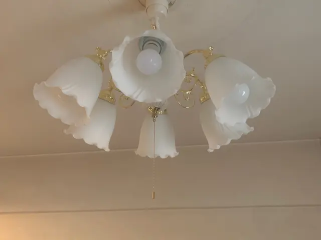 電球取り付けます！！【駐車料金は当店負担！】安心の損害保険加入済み！サービスの画像