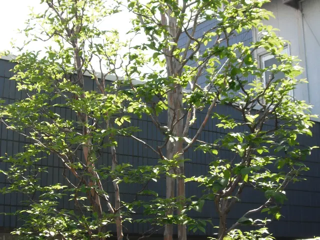 ＜年中無休＞経験20年の職人がお伺い！損害保険加入済み！時間外のご相談可能！サービスの画像