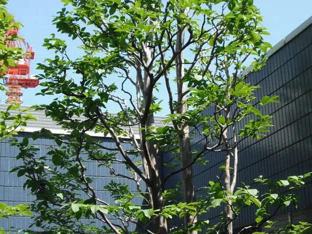 ＜年中無休＞経験20年の職人がお伺い！損害保険加入済み！時間外のご相談可能！サービスの画像