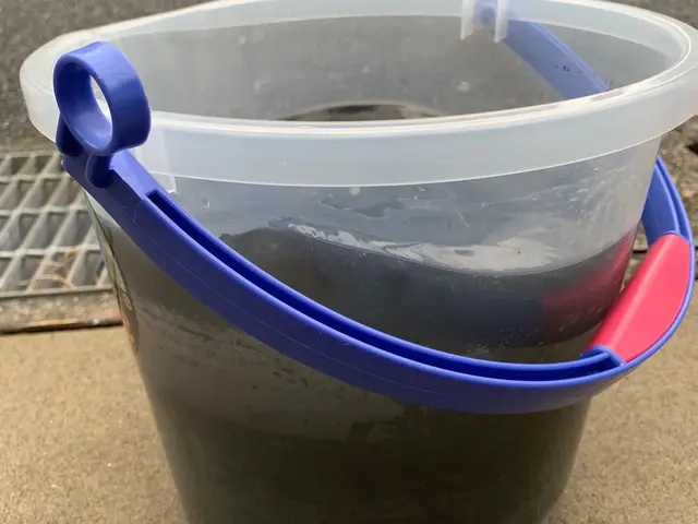 アレルギー改善に、ペットやお子様にも安心、天然洗剤使用☆サービスの画像