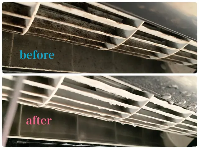 アレルギー改善に、ペットやお子様にも安心、天然洗剤使用☆サービスの画像