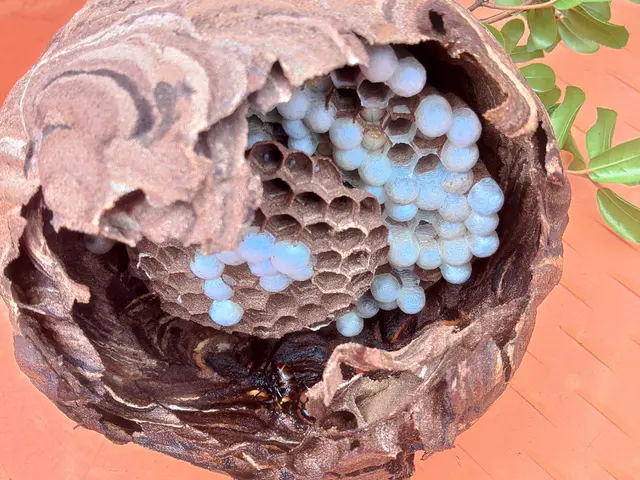 ◆◇10月新規出店◇◆経験16年の職人がお客様のご希望に寄り添う◎サービスの画像