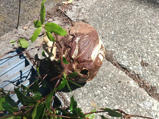 ◆◇10月新規出店◇◆経験16年の職人がお客様のご希望に寄り添う◎サービスの画像