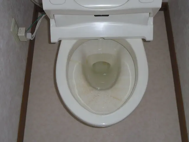 《1日1件丁寧施工》嫌なニオイや尿石、黒ずみを徹底除去！快適な空間にリフレッシュサービスの画像