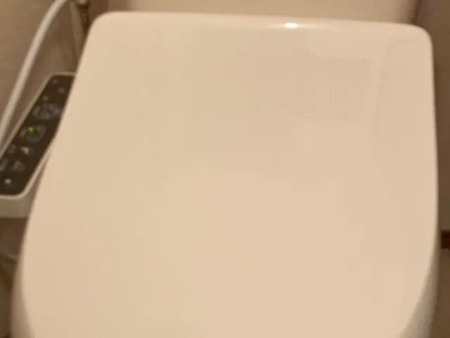 ウォシュレット交換！！即日対応可能！！保険加入（東京海上日動火災）サービスの画像