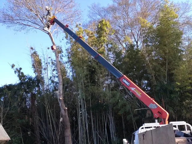 ★インボイス対応★女性スタッフも在籍！安心・丁寧な技術で庭を美しくサービスの画像