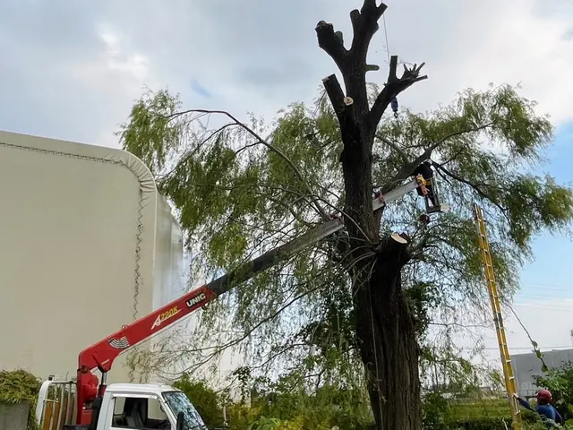 ★インボイス対応★女性スタッフも在籍！安心・丁寧な技術で庭を美しくサービスの画像