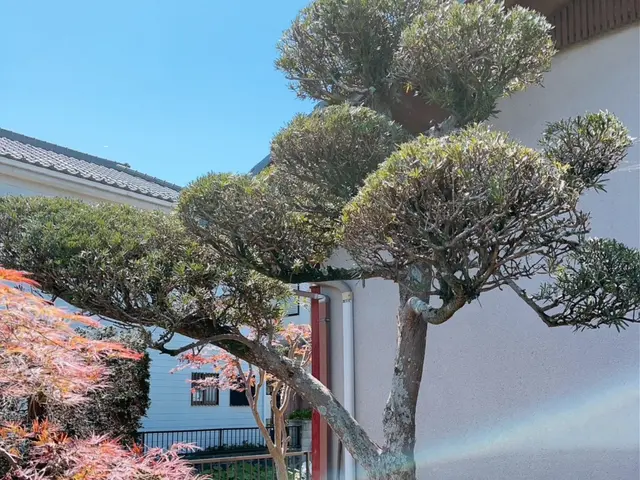 お庭で癒しの時間を過ごしましょう。サービスの画像