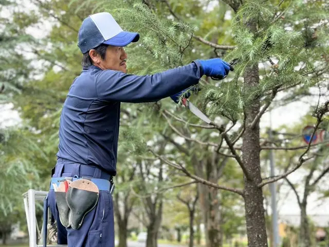 お庭で癒しの時間を過ごしましょう。サービスの画像