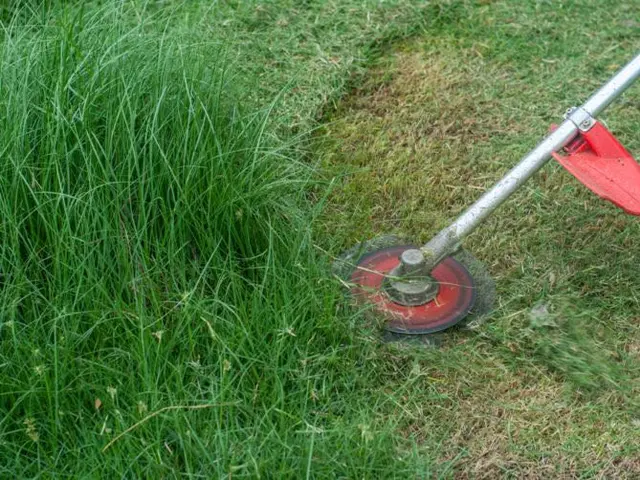 ☆草刈り☆これから草が生える前に対策を！！今なら面積に応じてサービス致します！サービスの画像