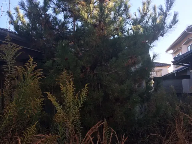 ＜業界10年の豊富な経験あり◎＞店長の私がお伺いします！対応地域外の方も相談可能サービスの画像