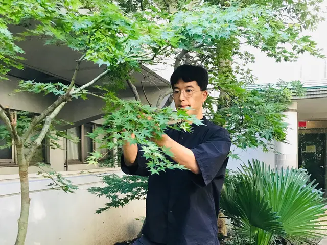 枝葉が風に揺らめく、柔らかい自然風剪定サービスの画像