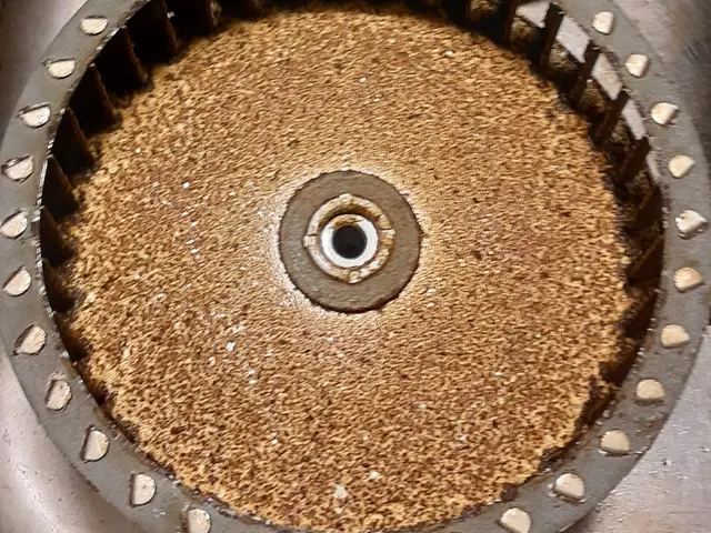 早割11月10％OFF！年末恒例の窓掃除は『大掃除おたすけ隊』にお任せください♪サービスの画像