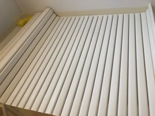 【健康を作るハウスクリーニング】綺麗好き店長が清潔な環境を守ります！サービスの画像