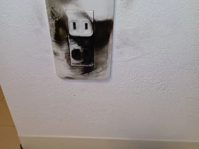 【30年以上の安心実績】接客ピカイチの電気工事士が最短日程でお伺いします！サービスの画像