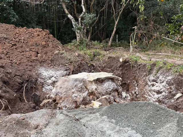 お客様の手足となって動く、丁寧な庭木の伐採・抜根サービスサービスの画像