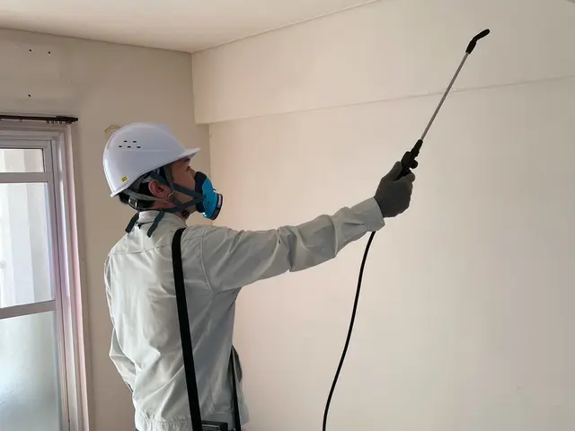 【この機会に害虫対策無料!!】害虫駆除と清掃のプロが手掛けるハウスクリーニングサービスの画像