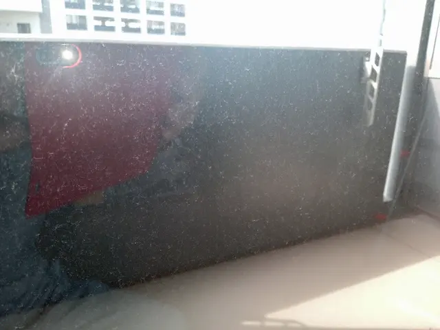 【ガラス面、枠やサッシ、レールも網戸も込み込みです】カビや泥動物の毛もスッキリ！サービスの画像